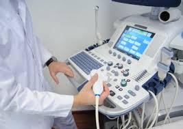 Judge Ilana Rovner wrote in the ruling that while it is a legitimate goal for the state to attempt to dissuade pregnant people from having an abortion, the law seeks to accomplish that goal by creating a barrier to abortion “without any evidence that it serves the intended goal of persuading women to carry a pregnancy to term.”   Shutterstock